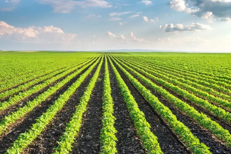 Tarla ile Tüketici Arasında Güvenli Köprü: Gıda Lojistiğinde En İyi Uygulamalar gönderisinin resmi.