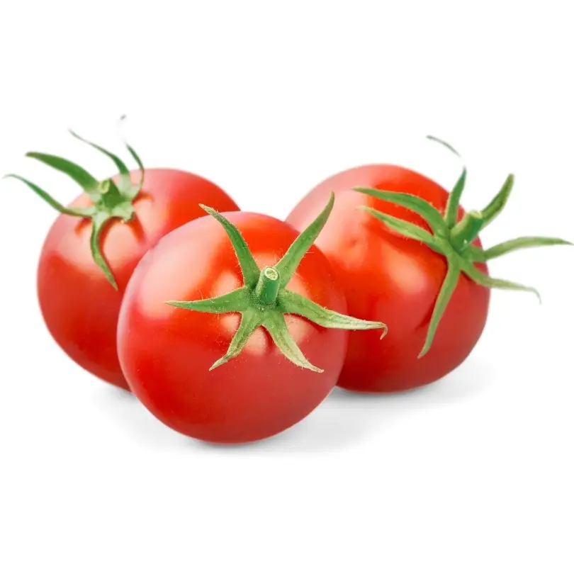 Domates ürününün resmi.