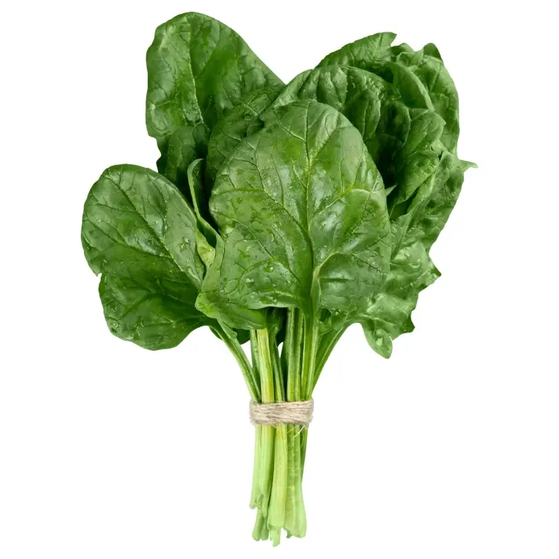 Ispanak ürününün resmi.