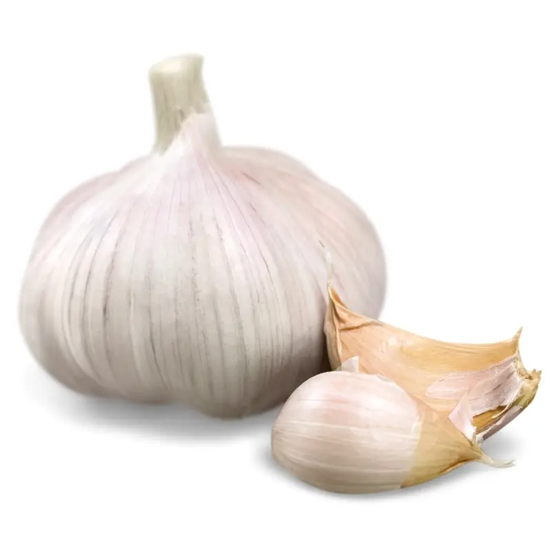 Sarımsak ürününün resmi.