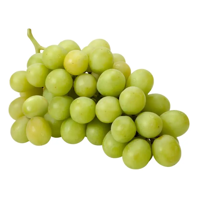 Üzüm ürününün resmi.